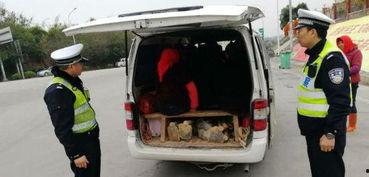 泉州面包车爆料视频最新,揭秘城市生活背后不为人知的真相